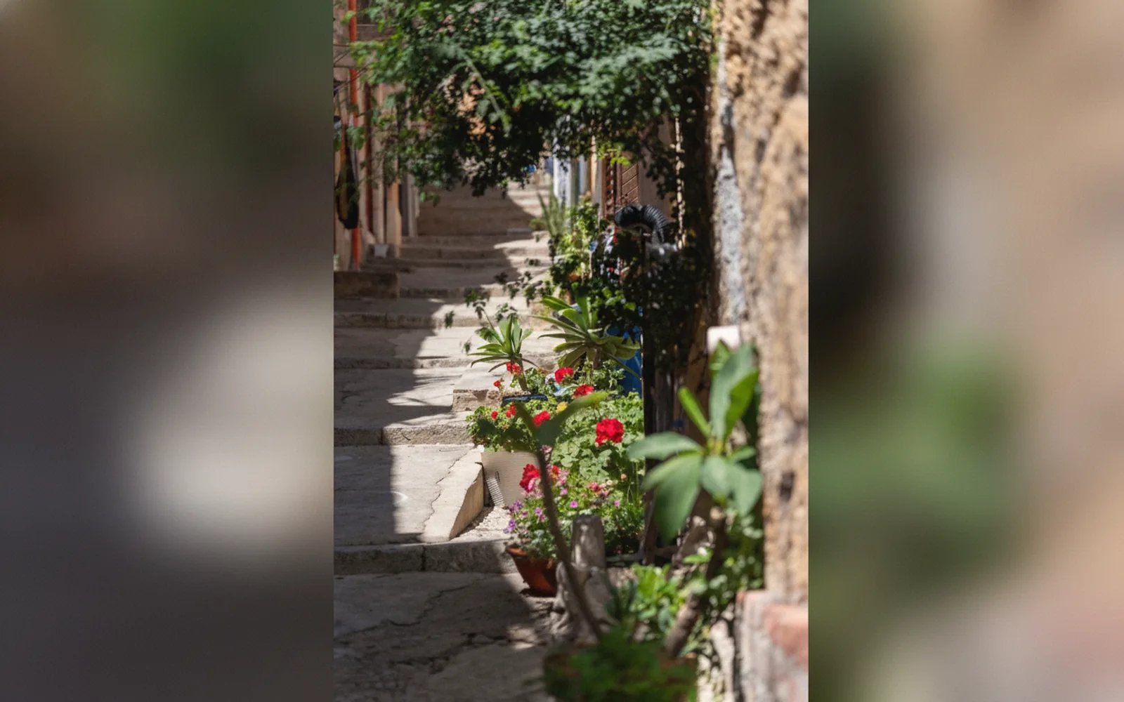 Esterni di La mia deliziosa Casetta, Termini Imerese (Sicilia) (foto 2)